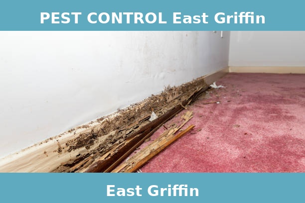 PEST CONTROL East Griffin